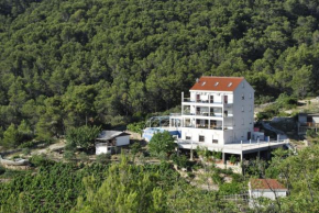 Holiday house with a swimming pool Stomorska, Solta - 15950